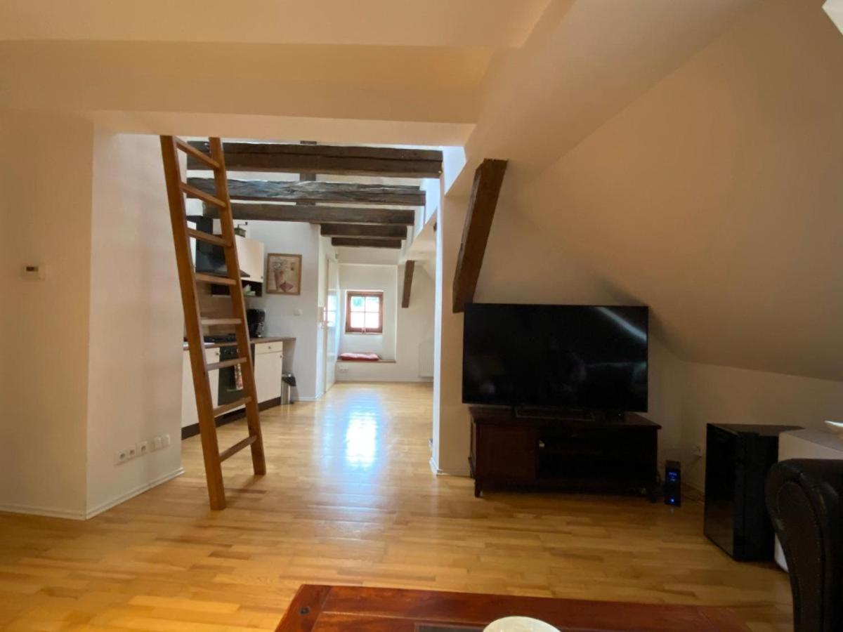 Appartement Apartman Hubertus à Loket Extérieur photo