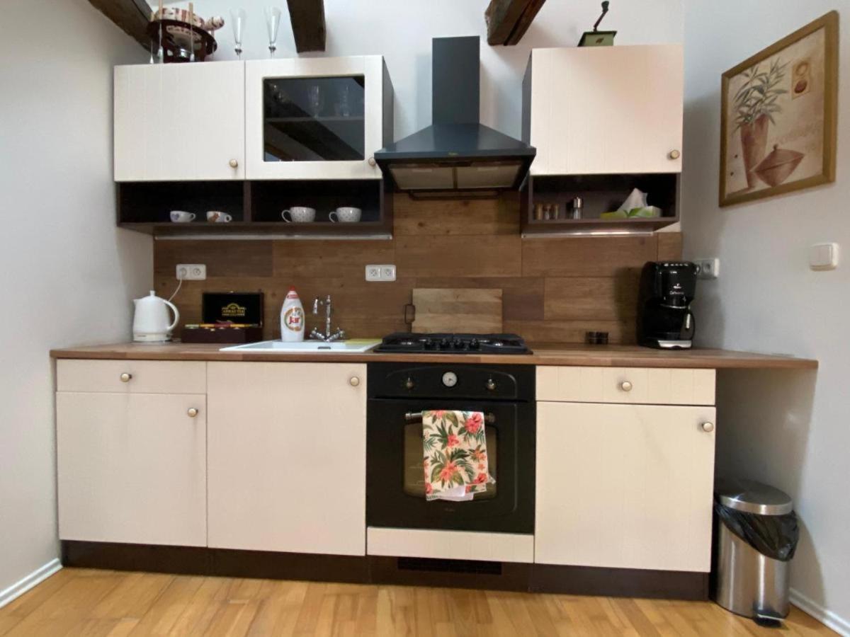 Appartement Apartman Hubertus à Loket Extérieur photo